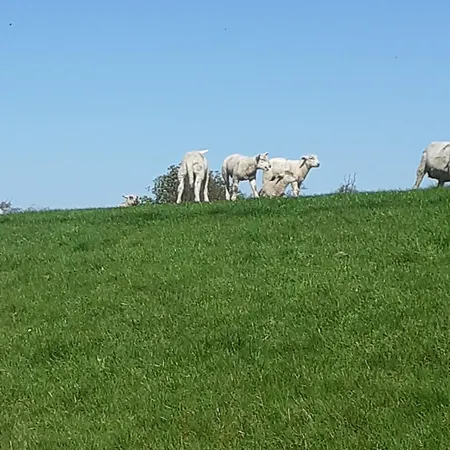 Erholung Am Deich
